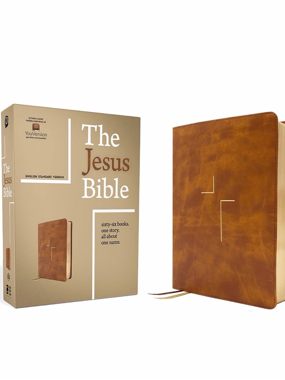 Jesus Bible